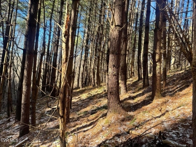 32 Acres For Sale in Unicoi County, Tennessee - image 16