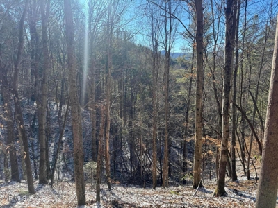 32 Acres For Sale in Unicoi County, Tennessee - image 34