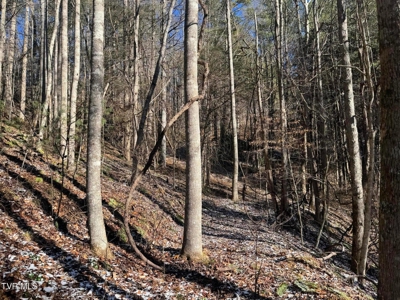 32 Acres For Sale in Unicoi County, Tennessee - image 13