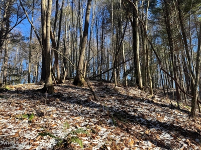 32 Acres For Sale in Unicoi County, Tennessee - image 22