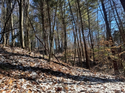 32 Acres For Sale in Unicoi County, Tennessee - image 23