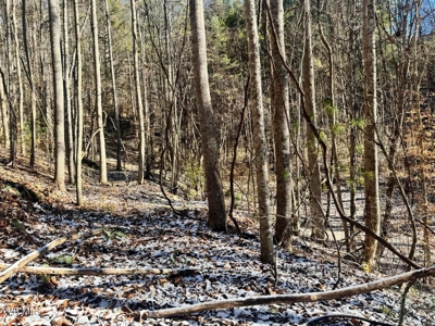 32 Acres For Sale in Unicoi County, Tennessee - image 5