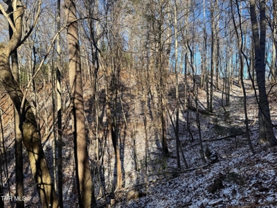 32 Acres For Sale in Unicoi County, Tennessee - image 20