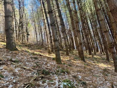 32 Acres For Sale in Unicoi County, Tennessee - image 17