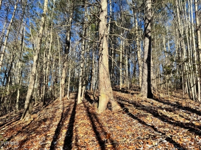 32 Acres For Sale in Unicoi County, Tennessee - image 8