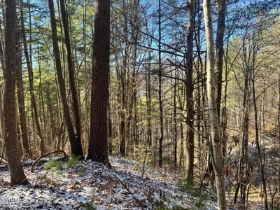 32 Acres For Sale in Unicoi County, Tennessee - image 31