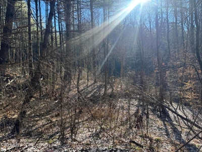 32 Acres For Sale in Unicoi County, Tennessee - image 12