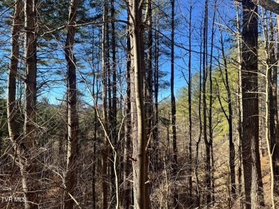 32 Acres For Sale in Unicoi County, Tennessee - image 24