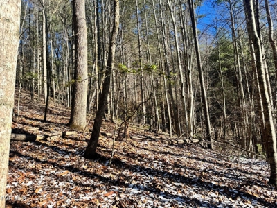 32 Acres For Sale in Unicoi County, Tennessee - image 10