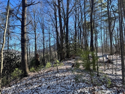 32 Acres For Sale in Unicoi County, Tennessee - image 26