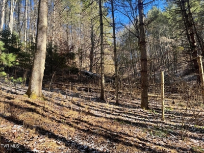 32 Acres For Sale in Unicoi County, Tennessee - image 11