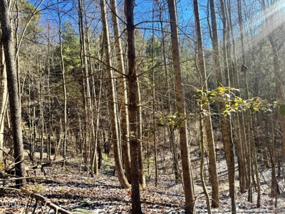 32 Acres For Sale in Unicoi County, Tennessee - image 7