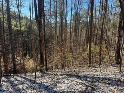 32 Acres For Sale in Unicoi County, Tennessee - image 29