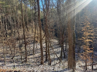32 Acres For Sale in Unicoi County, Tennessee - image 14