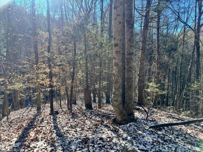 32 Acres For Sale in Unicoi County, Tennessee - image 9
