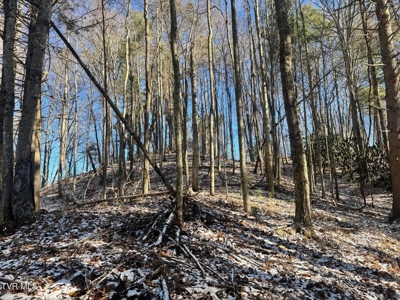 32 Acres For Sale in Unicoi County, Tennessee - image 28