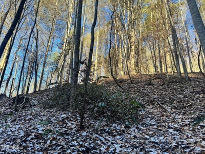 32 Acres For Sale in Unicoi County, Tennessee - image 3