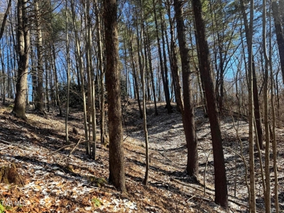 32 Acres For Sale in Unicoi County, Tennessee - image 21