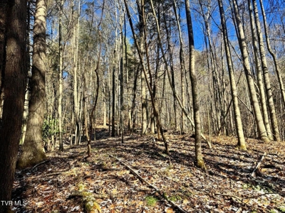 32 Acres For Sale in Unicoi County, Tennessee - image 4