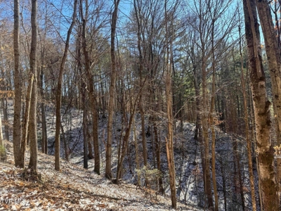 32 Acres For Sale in Unicoi County, Tennessee - image 33