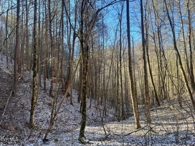 32 Acres For Sale in Unicoi County, Tennessee - image 35