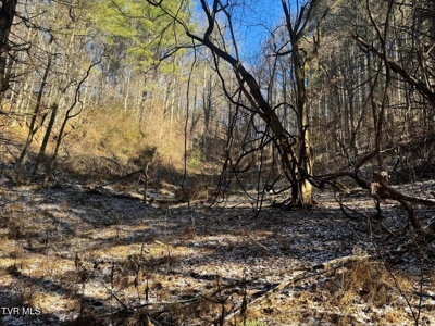 32 Acres For Sale in Unicoi County, Tennessee - image 19