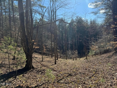 32 Acres For Sale in Unicoi County, Tennessee - image 37