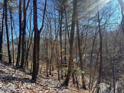 32 Acres For Sale in Unicoi County, Tennessee - image 27