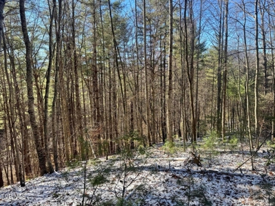 32 Acres For Sale in Unicoi County, Tennessee - image 30