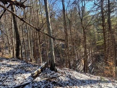 32 Acres For Sale in Unicoi County, Tennessee - image 32