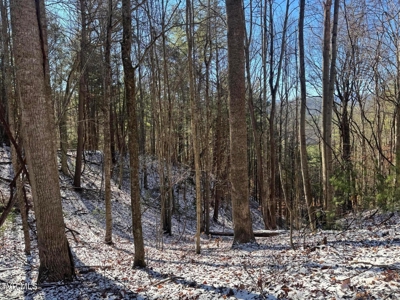 32 Acres For Sale in Unicoi County, Tennessee - image 25