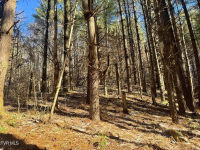 32 Acres For Sale in Unicoi County, Tennessee - image 18