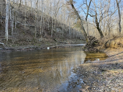 120 Acre Farm, Hunting Property, CREP Income, Creek Frontage - image 23