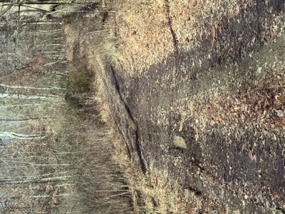 120 Acre Farm, Hunting Property, CREP Income, Creek Frontage - image 24