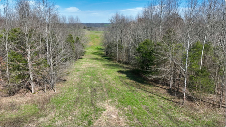 120 Acre Farm, Hunting Property, CREP Income, Creek Frontage - image 47