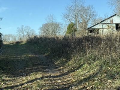 120 Acre Farm, Hunting Property, CREP Income, Creek Frontage - image 8