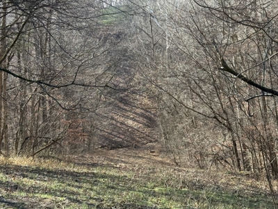120 Acre Farm, Hunting Property, CREP Income, Creek Frontage - image 16