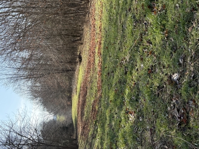 120 Acre Farm, Hunting Property, CREP Income, Creek Frontage - image 10