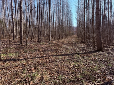 120 Acre Farm, Hunting Property, CREP Income, Creek Frontage - image 29