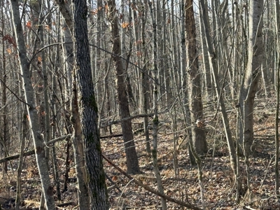 120 Acre Farm, Hunting Property, CREP Income, Creek Frontage - image 12