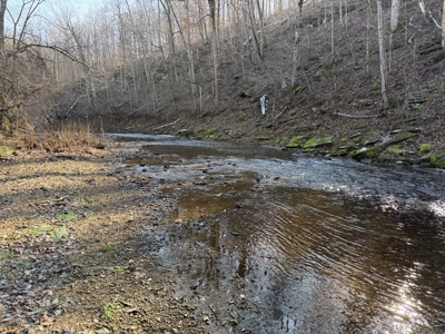 120 Acre Farm, Hunting Property, CREP Income, Creek Frontage - image 33