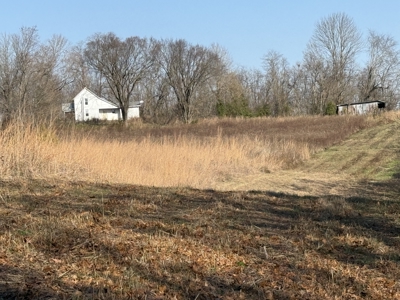 120 Acre Farm, Hunting Property, CREP Income, Creek Frontage - image 6
