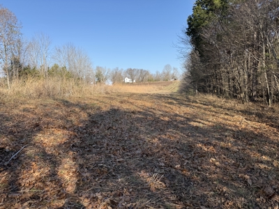 120 Acre Farm, Hunting Property, CREP Income, Creek Frontage - image 7