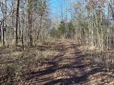 120 Acre Farm, Hunting Property, CREP Income, Creek Frontage - image 21