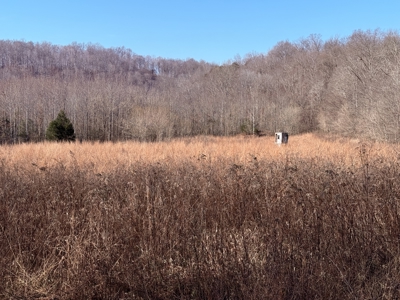 120 Acre Farm, Hunting Property, CREP Income, Creek Frontage - image 25