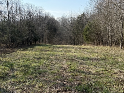 120 Acre Farm, Hunting Property, CREP Income, Creek Frontage - image 17