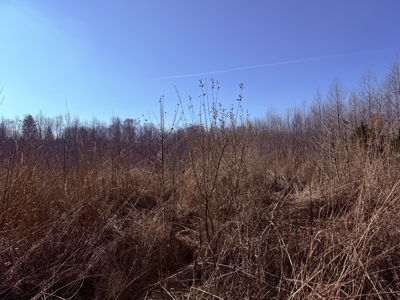 120 Acre Farm, Hunting Property, CREP Income, Creek Frontage - image 31