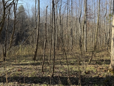 120 Acre Farm, Hunting Property, CREP Income, Creek Frontage - image 32
