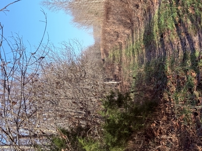 120 Acre Farm, Hunting Property, CREP Income, Creek Frontage - image 19