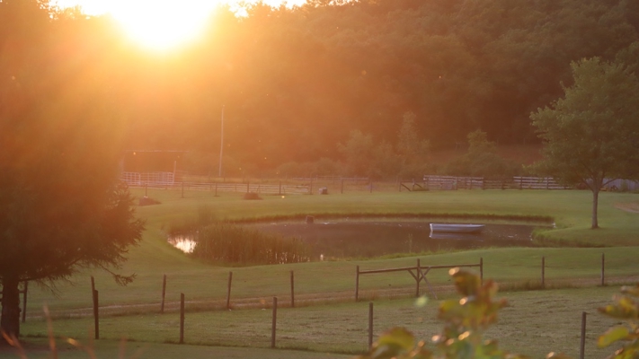 Country Home and Farm for Sale in Floyd VA